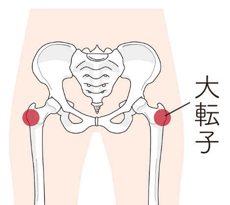 あし