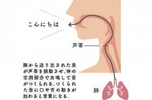 発声の仕組み