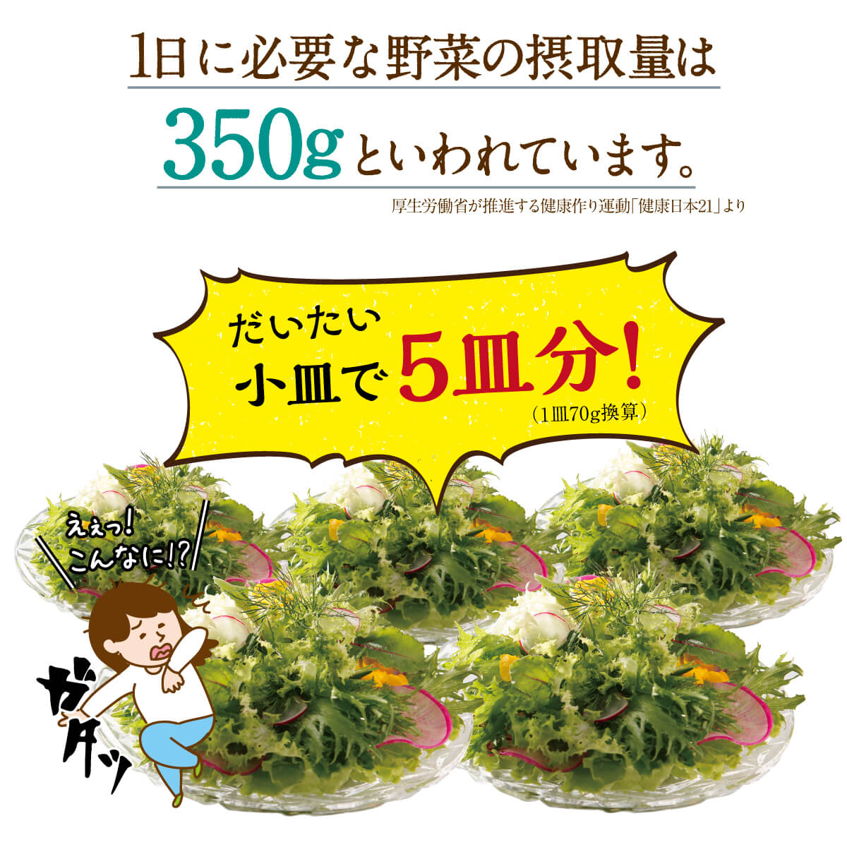 1日に必要な野菜の目標量は350グラムと言われています。その量、だいたい小皿で5皿分！