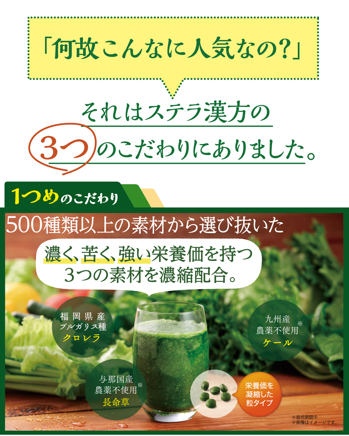 500種類以上の素材から選び抜いた濃く苦く強い栄養価を持つ3つの素材を濃縮配合