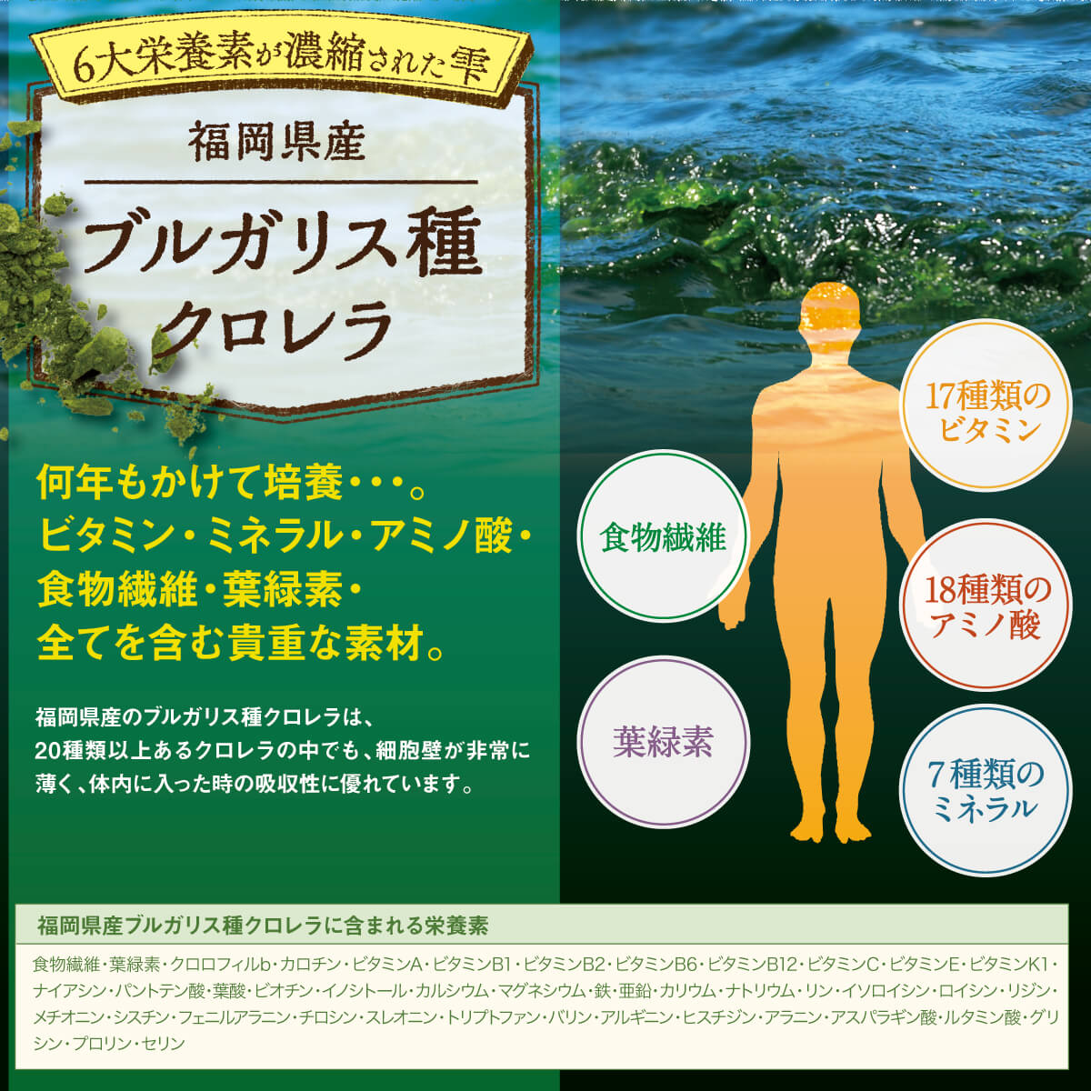 青汁をたったの3粒にぎゅっと凝縮｜大人気のステラの贅沢青汁【公式】
