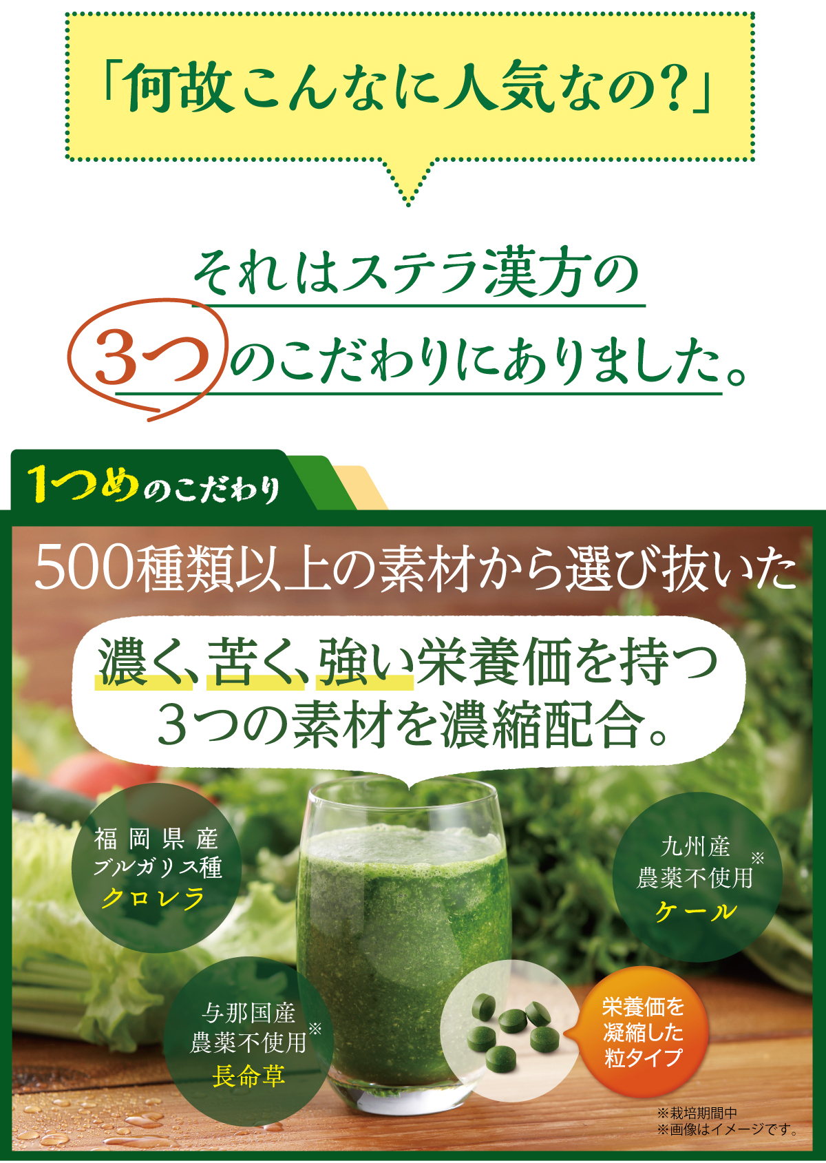 青汁をたったの3粒にぎゅっと凝縮｜大人気のステラの贅沢青汁【公式】