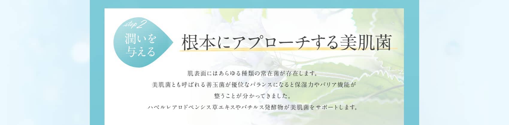 ステップ2潤いを与える 根本にアプローチする美肌菌