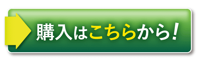 購入はこちらから！