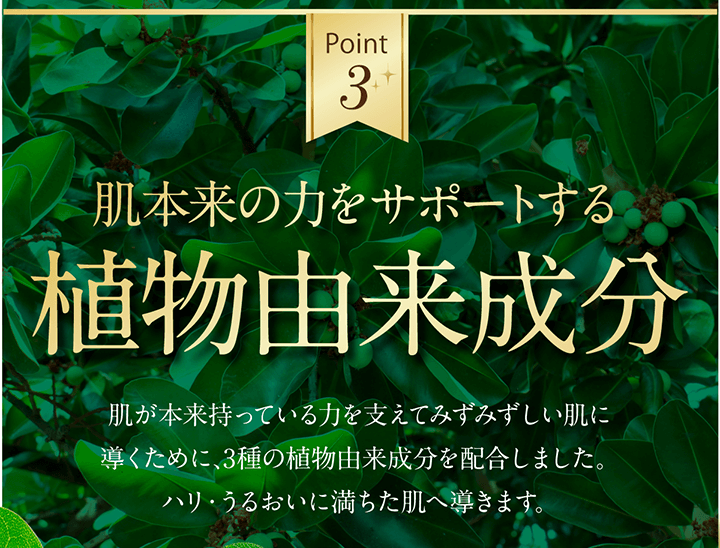 肌本来の力をサポートする植物由来成分