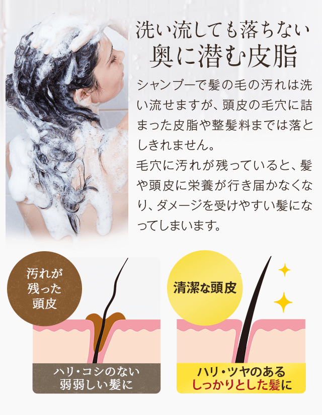 Grace Seed Stella スパークリングシャンプー Grace Seed Stella スパークリングシャンプー