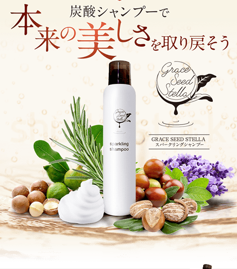 シャンプー Grace サロン専売品 カラーヘア用【シャンプー/トリートメント セット