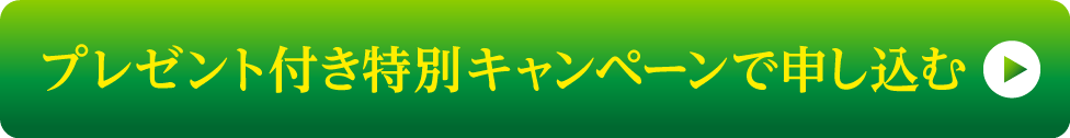 特別キャンペーンで申し込む