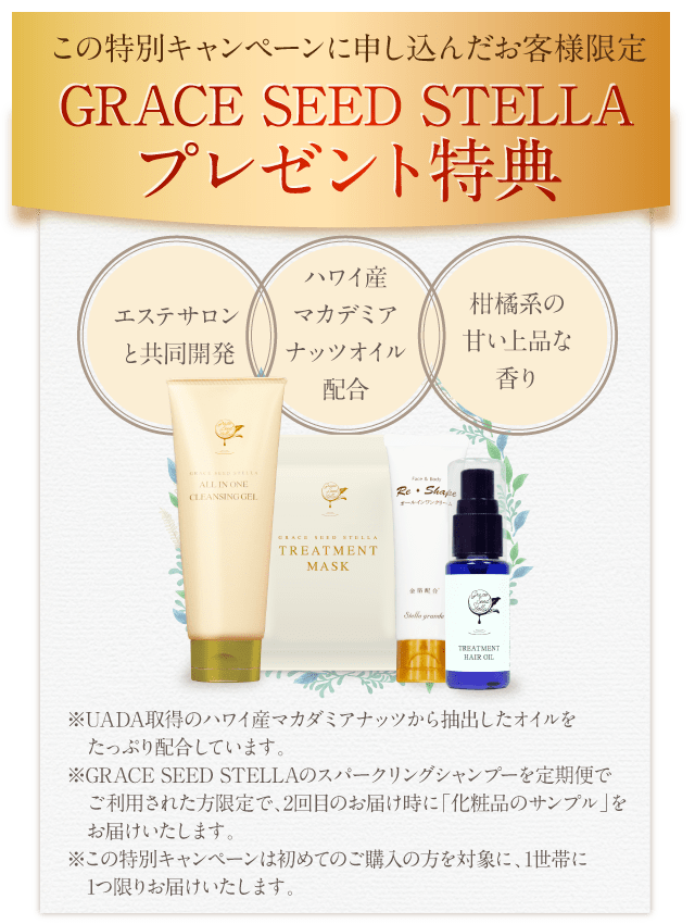 シャンプー Grace サロン専売品 カラーヘア用【シャンプー/トリートメント セット