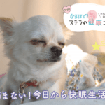 もう悩まない！今日から快眠生活🌙②