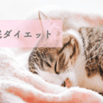 寝るだけで痩せる！睡眠ダイエット