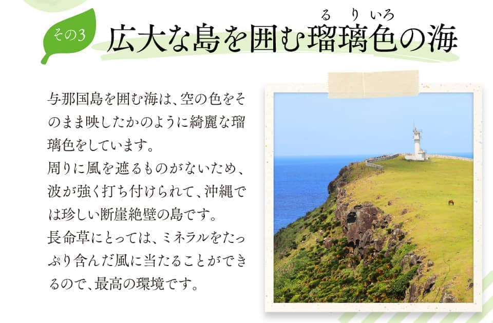 広大な島を囲む瑠璃色の海