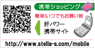 携帯サイト