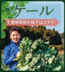 ビタミン・ミネラル・アミノ酸・食物繊維・葉緑素、全てを含む貴重な存在、クロレラ