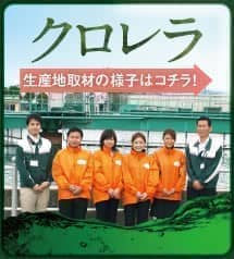 農薬不使用・長寿の沖縄で採れる秘草、長命草