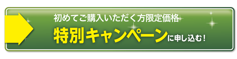 特別キャンペーンで申し込む