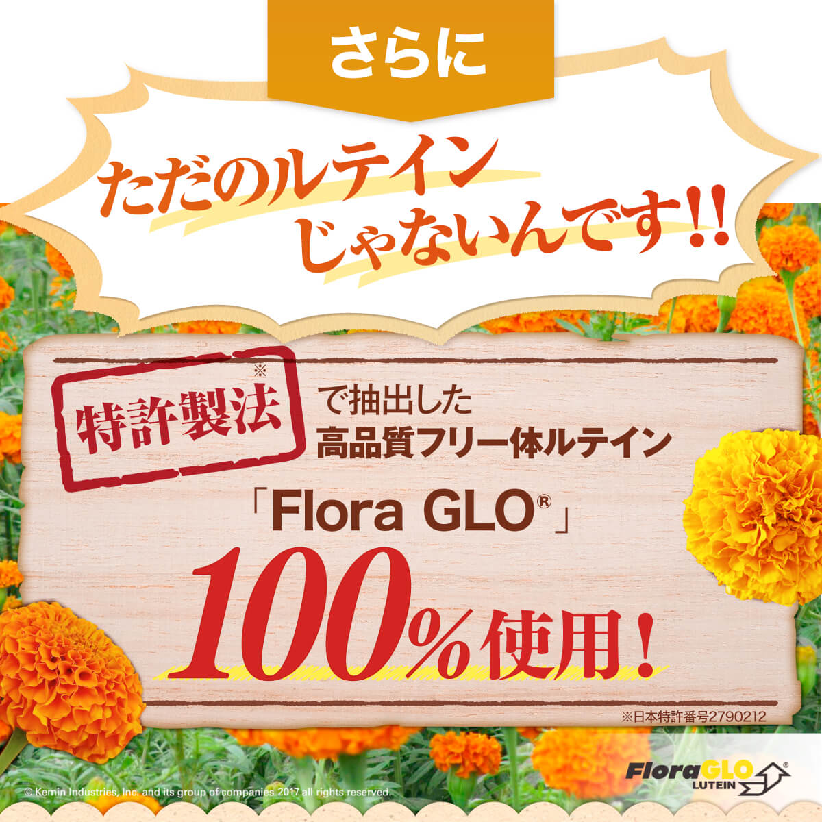 隅々まで届くクロセチン。圧倒的な吸収スピード。クロセチンは摂取してから約４時間ほどで体内濃度が最大になり他のカロテノイドよりも短時間で吸収されます。吸収スピードはベータカロテンの約７倍。クロセチンは水にも油にも溶けるので隅々までとどきます。